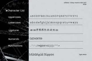 优雅魅力的时尚女性品牌杂志艺术画廊潮人服饰英文字体 Atfiesta - Reverse Slab Serif