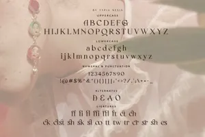 复古优雅经典的罗马衬线英文字体 Bella Queta - Beautiful Classic Serif