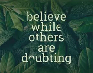 带有独特圆角衬线的字体 Robika Serif Typeface