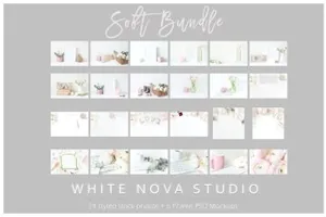 粉红色毛茛属植物素材 Pink Ranunculus Bundle