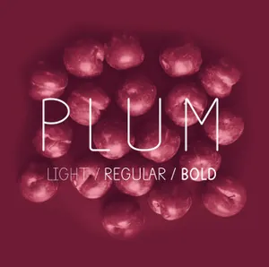 一款纤细圆润英文字体Plum Fun Free Font 精选字体