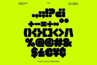 现代粗肥个性英文展示字体 Fleshy Display Font