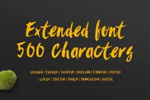 食品服装和杂志设计绝配手写英文字体 San Extended