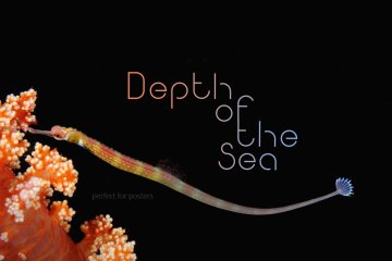 个性优雅的无衬线英文字体 Quantum