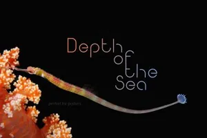 个性优雅的无衬线英文字体 Quantum