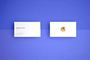 名片模型PSD贴图模板Professional Business Card Mo