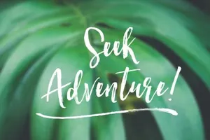 轻舞飞扬般流畅画笔笔刷英文字体 Hartley Rough Brush Script Font