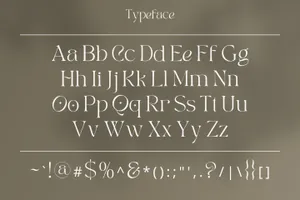 复古现代优雅的化妆品婚礼女性品牌衬线英文字体 Mitera Font