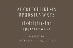 优雅现代又怀旧的杂志海报婚礼排版英文字体 Fitanova - Classy Serif