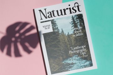 时尚优雅的衬线英文字体 Megona | Modern Serif