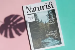 时尚优雅的衬线英文字体 Megona | Modern Serif