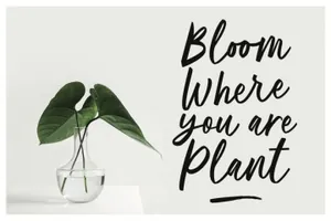 现代优雅书写风格英文手写字体 Ballerina Script Font MS