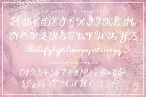 独特华丽法国浪漫主义英文手写字体 Eiffell Brush Script Font  Extras