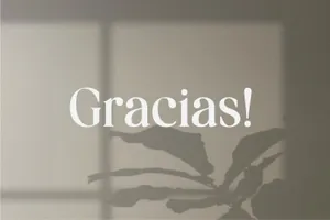 独特优雅时尚的现代连字英文字体 Giliams - Modern Ligature Serif