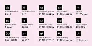 一款加粗衬线英文字体Heimat Mono