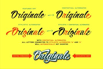 非常适合做标题的手写英文字体 Alisandra Script