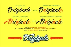 非常适合做标题的手写英文字体 Alisandra Script