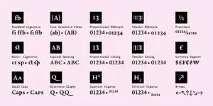 一款加粗衬线英文字体Heimat Mono