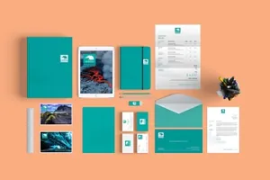 企业高端VI品牌设计展示样机