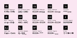 一款优雅衬线英文字体Novel Pro