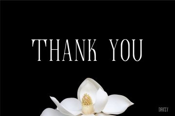 复古极简主义的婚礼英文字体 Love  Live