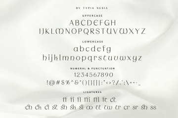 复古优雅罗马女性品牌衬线英文字体 Wondermind - Classic Aesthetic Beauty