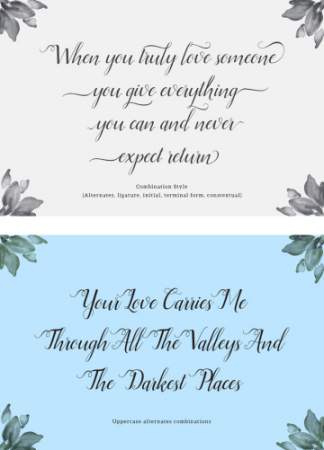 优美典雅的Script Font Ellizabeth