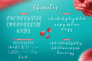 小清新手绘飘逸英文字体Declara Script Free Demo 精选字体