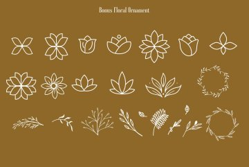 优雅的女性复古衬线英文字体 Roller Coaster Serif (Bonus)