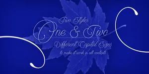 优雅自然英文书法字体 Encina Script Font Family