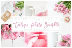 玫瑰花卉照片样机 Tulips Photo Bundle