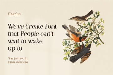 新复古美学海报杂志排版英文衬线字体 Modern and Aesthetic Serif - Granchy