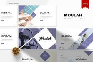 清新的产品销售工作汇报ppt模板moulah powerpoint