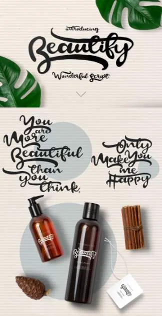 一款优美的手写体免费字体 Beautify Script