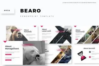 动物环保ppt模板下载bearo-powerpoint