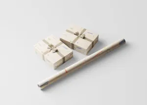 高品质逼真质感礼品盒包装设计Wrapping Paper