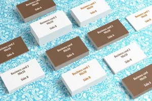 商业名片设计展示样机 Standard Business Cards Mockups