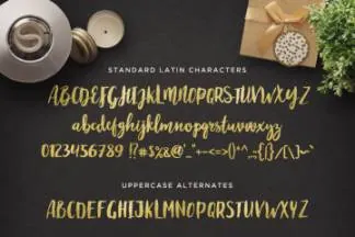 手写英文字体 Maloishe Brush Script Font