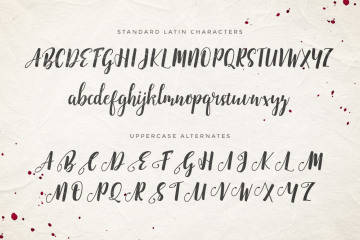 付费手写英文字体 Emellie Script Font