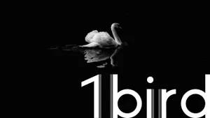 一款封面设计英文字体Avenue X - Free Font