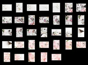 美容产品花卉样机模型 IDCO Beauty Stock Photo Bundle