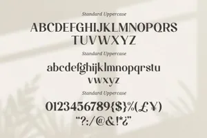 极简主义优雅的杂志海报排版英文字体 Magistic - Duo Ligature Typeface