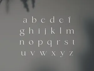 适合品牌设计的典雅奇特的英文衬线字体 fonde - elegant chique font