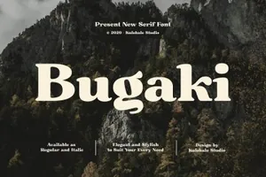 复古经典而又优雅的衬线英文字体 Bugaki - Elegant Serif Font