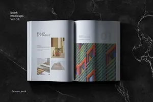 房地产楼书杂志宣传册设计VI样机展示模型