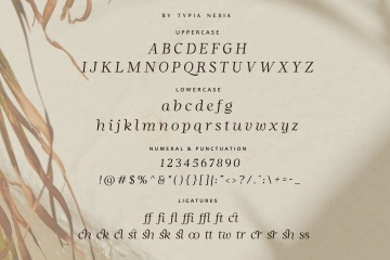 复古优雅时尚奢侈品牌女性产品斜体衬线英文字体 Grace Queen - Beauty Stylish