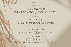 复古优雅时尚奢侈品牌女性产品斜体衬线英文字体 Grace Queen - Beauty Stylish