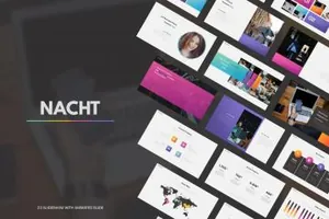 专业时尚的ppt模板nacht-presentation