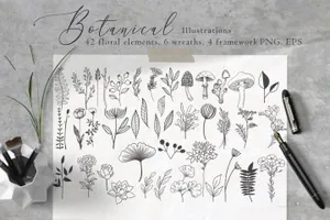 高质量手绘春天植物花卉插图插画合集 Floral Botanical Illus