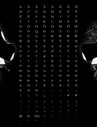 新潮流酸性艺术抽象英文衬线字体 FORGE - iris